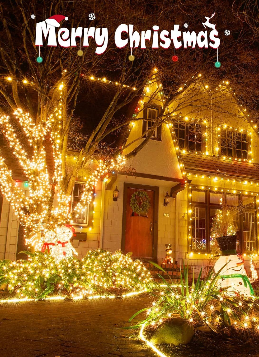 Battery Operated Fairy Lights - 5ft 60 LEDs, Remote