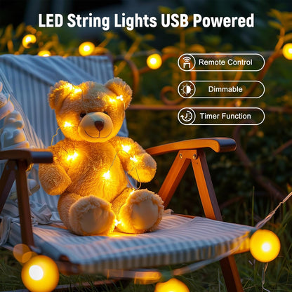 100 LED String Lights - 39.5 Ft USB Fairy Lights, Warm White