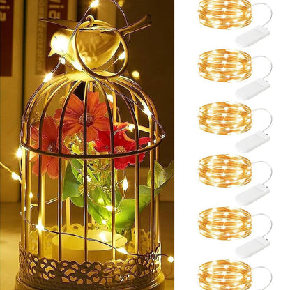 Silver Fairy Lights, CR2032 Battery Operated, 7 Feet 20 LED