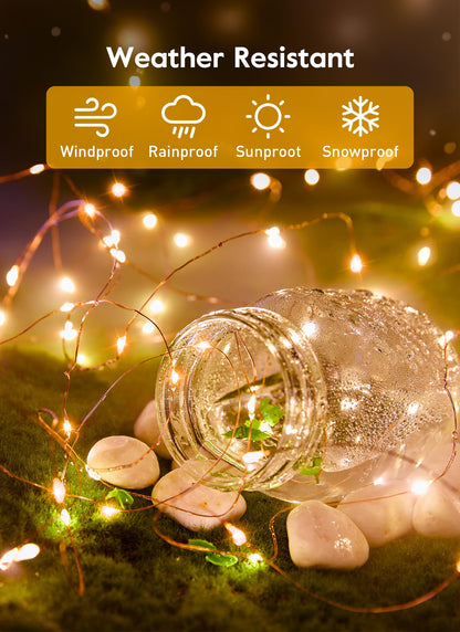 33ft USB Fairy Lights - Copper Wire, 100 LED, Remote Control