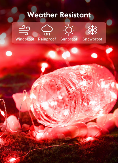 33ft USB Fairy Lights - Copper Wire, 100 LED, Remote Control