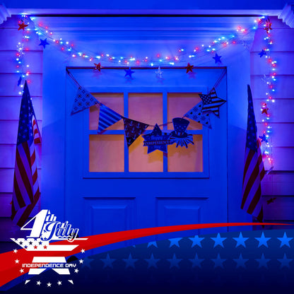 Cluster Lights on Copper Wire with Adapter