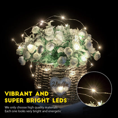 Silver Fairy Lights, CR2032 Battery Operated, 7 Feet 20 LED