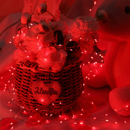 Cluster Lights with Remote, 8 Modes, Adapter