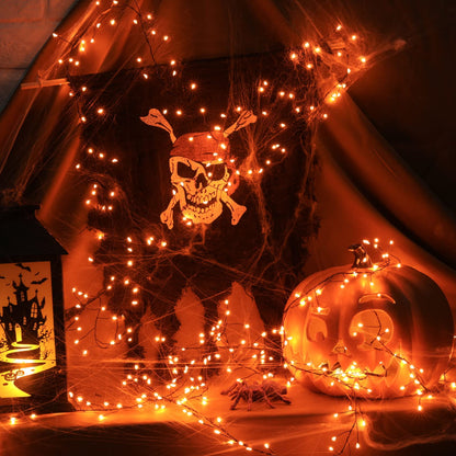 Cluster Lights with Remote, 8 Modes, Adapter