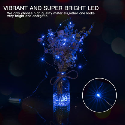 Silver Fairy Lights, CR2032 Battery Operated, 7 Feet 20 LED