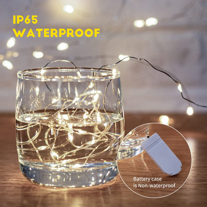 Silver Fairy Lights, CR2032 Battery Operated, 7 Feet 20 LED