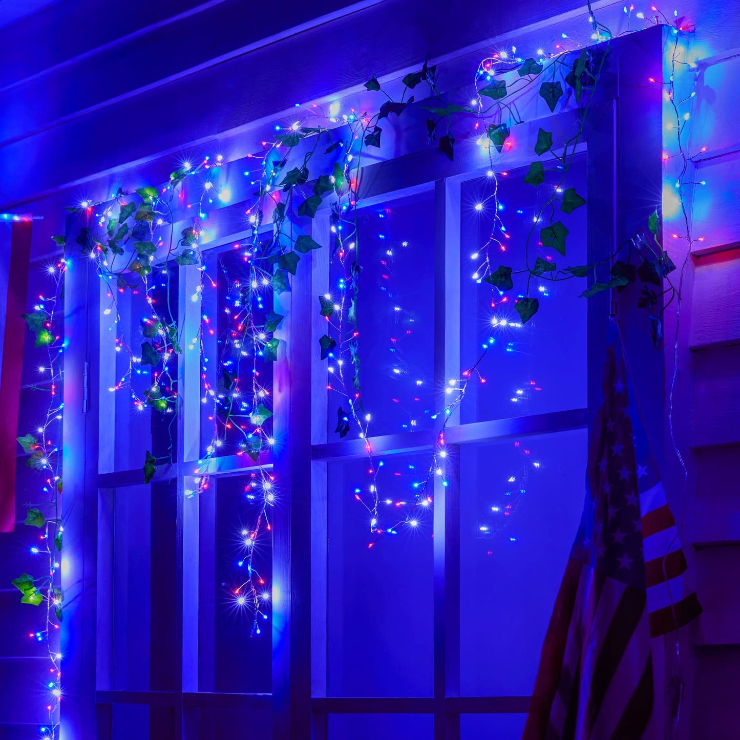 Cluster Lights on Copper Wire with Adapter