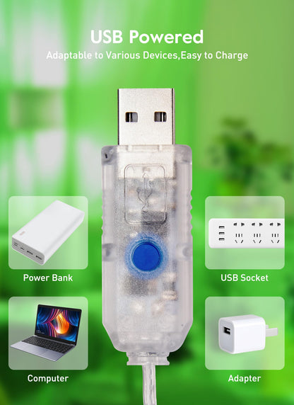 33ft USB Fairy Lights - Copper Wire, 100 LED, Remote Control