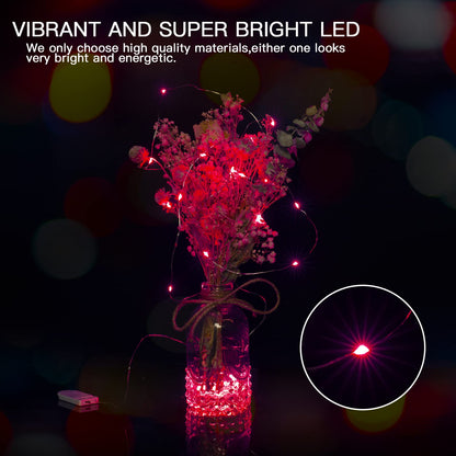 Silver Fairy Lights, CR2032 Battery Operated, 7 Feet 20 LED