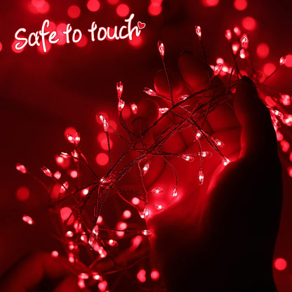 Cluster Lights with Remote, 8 Modes, Adapter