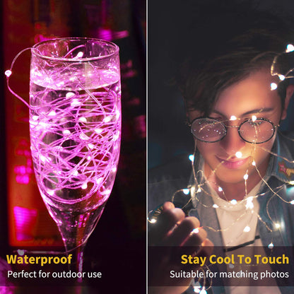 Silver Fairy Lights, CR2032 Battery Operated, 7 Feet 20 LED