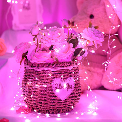 Cluster Lights with Remote, 8 Modes, Adapter