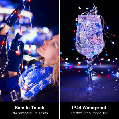 Cluster Lights on Copper Wire with Adapter