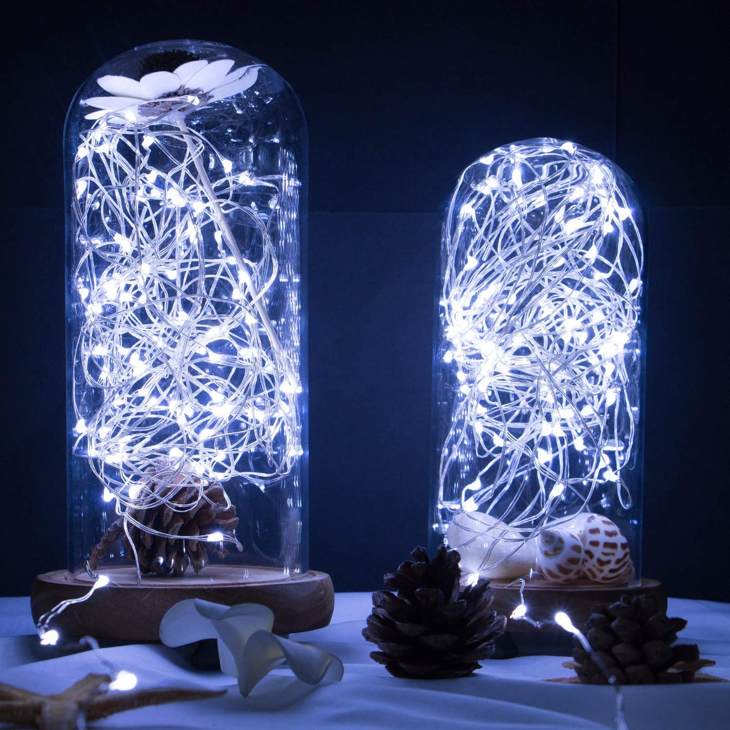 Silver Fairy Lights with Remote, USB/Adapter Powered, 8 Modes