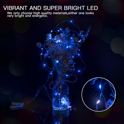 Silver Fairy Lights, CR2032 Battery Operated, 7 Feet 20 LED