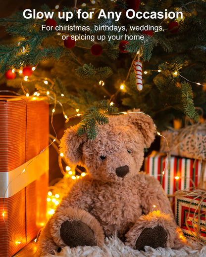 Silver Fairy Lights, CR2032 Battery Operated, 7 Feet 20 LED