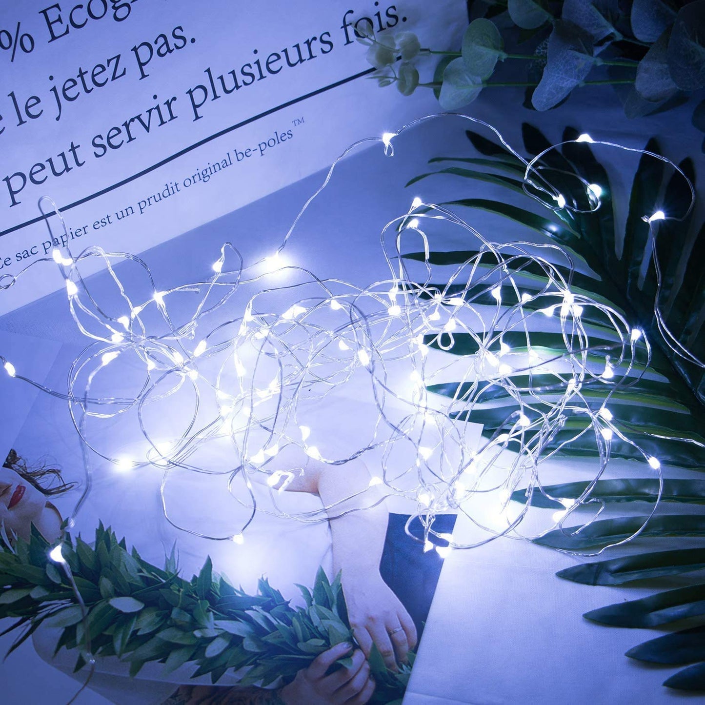Silver Fairy Lights, CR2032 Battery Operated, 7 Feet 20 LED