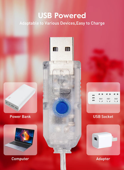 33ft USB Fairy Lights - Copper Wire, 100 LED, Remote Control