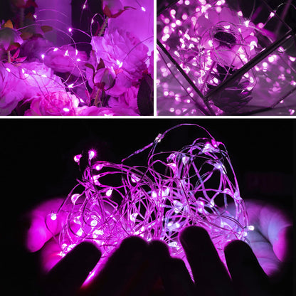 Silver Fairy Lights, CR2032 Battery Operated, 7 Feet 20 LED