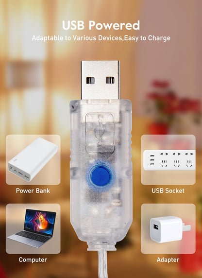 33ft USB Fairy Lights - Copper Wire, 100 LED, Remote Control