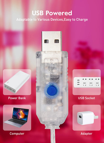 33ft USB Fairy Lights - Copper Wire, 100 LED, Remote Control