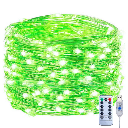 33ft USB Fairy Lights - Copper Wire, 100 LED, Remote Control