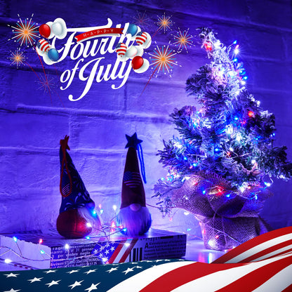 Cluster Lights on Copper Wire with Adapter