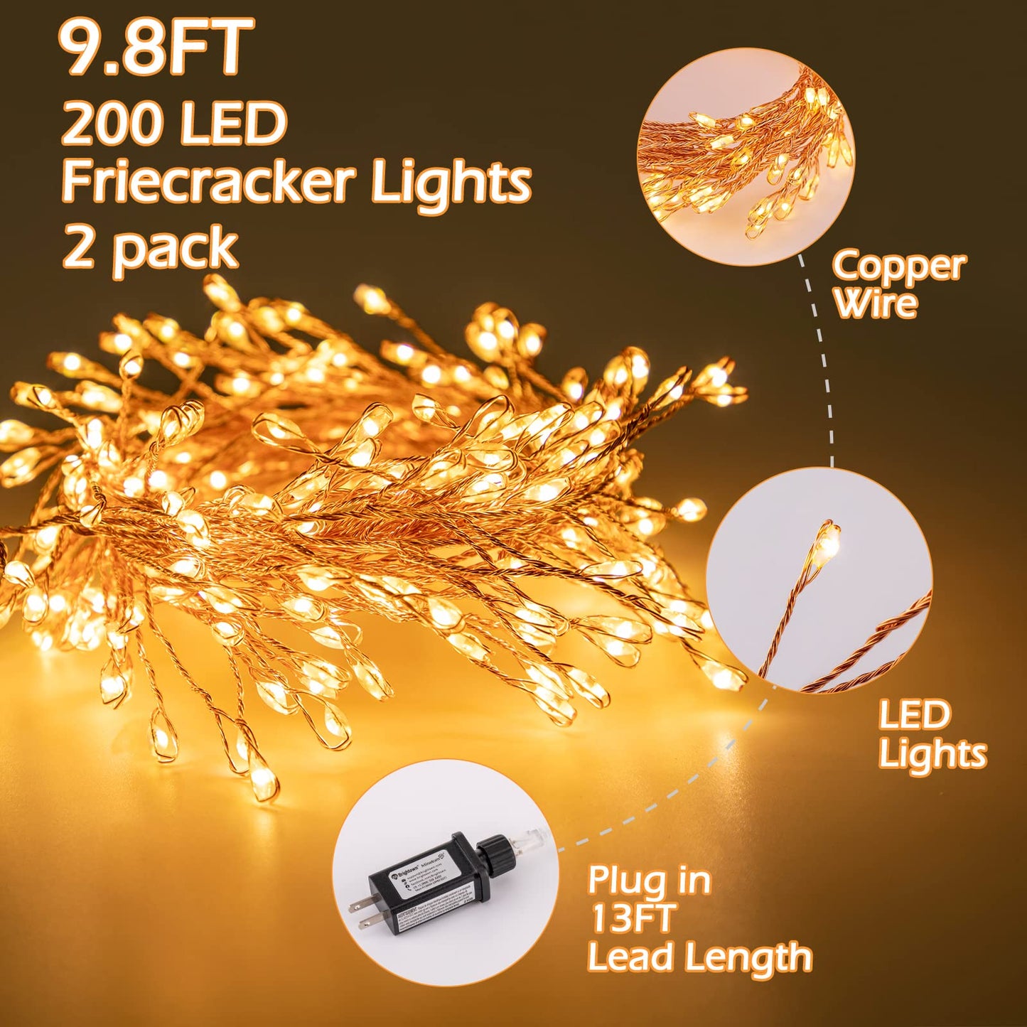 Cluster Lights on Copper Wire with Adapter