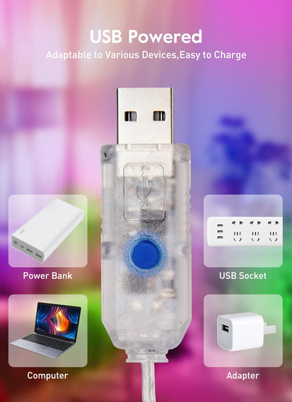 33ft USB Fairy Lights - Copper Wire, 100 LED, Remote Control